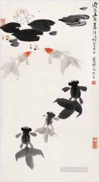 Wu Zuoren Painting - Wu zuoren goldfish and water lily old China ink